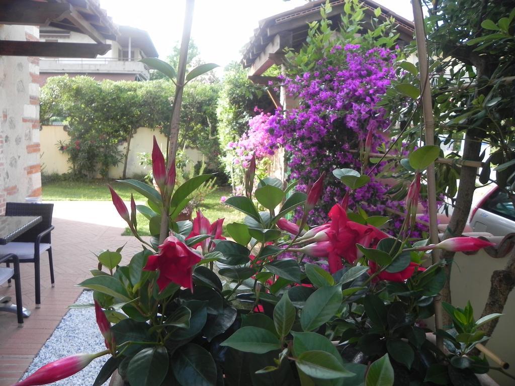 Villa Il Fortino ลิโด ดิ กามาโยเร ภายนอก รูปภาพ