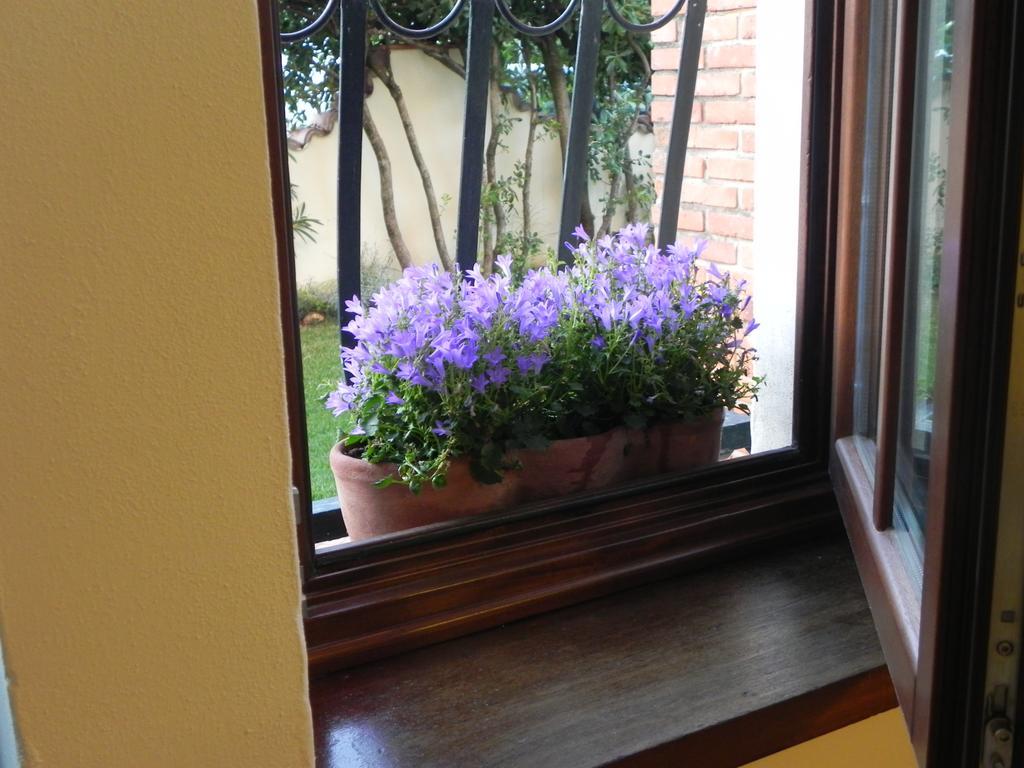 Villa Il Fortino ลิโด ดิ กามาโยเร ภายนอก รูปภาพ