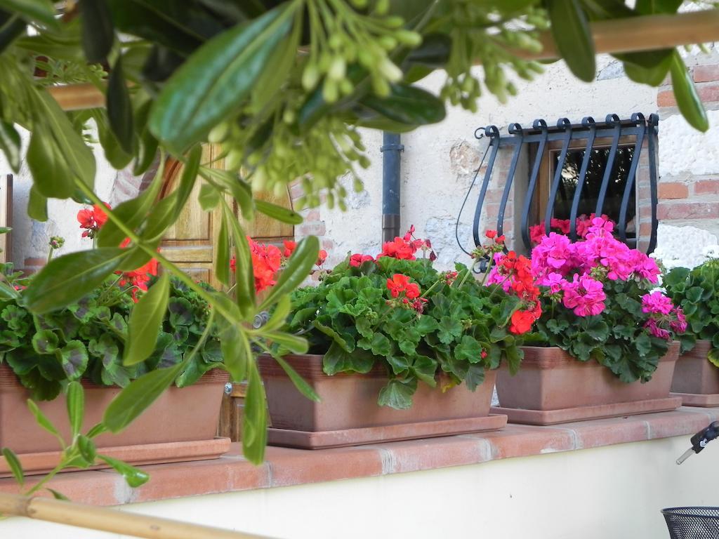 Villa Il Fortino ลิโด ดิ กามาโยเร ภายนอก รูปภาพ